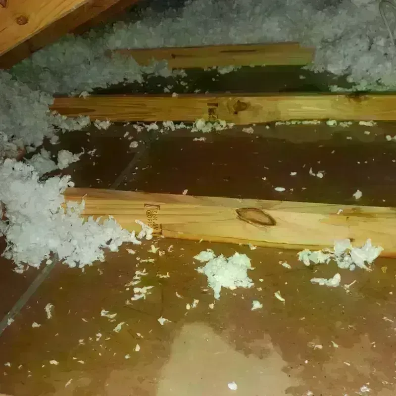 Attic Water Damage in Roswell, GA