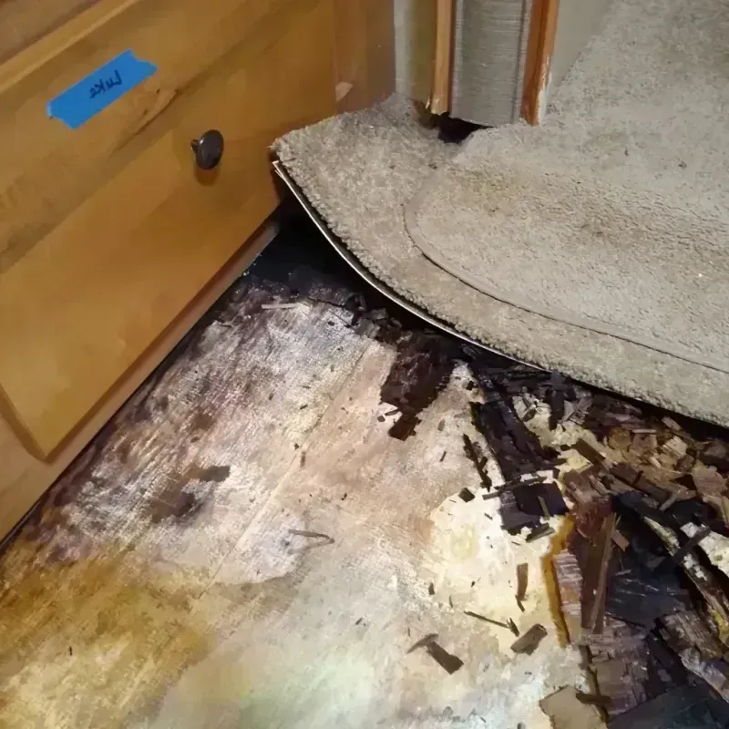 Wood Floor Water Damage in Roswell, GA